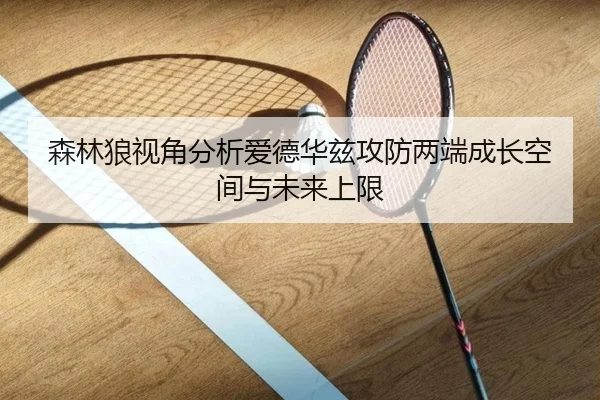 森林狼视角分析爱德华兹攻防两端成长空间与未来上限